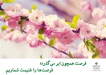 صدای مشاور 2